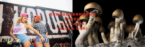 стафф Баксан