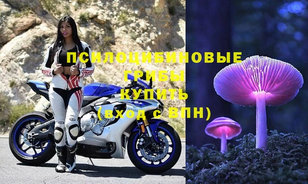 не бодяженный Арсеньев